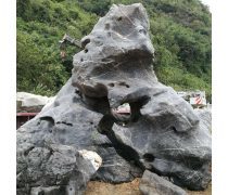 太湖石(假山)產(chǎn)品庫(kù)——價(jià)格、圖片與廠家信息一覽