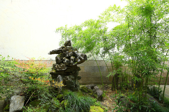 庭院中的竹子假山 自然與藝術的完美融合